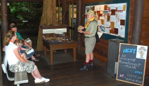 Piggy's Rainforest Talks, Daintree Discovery Centre